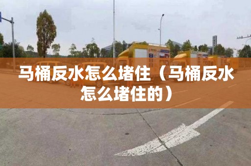 马桶反水怎么堵住（马桶反水怎么堵住的）