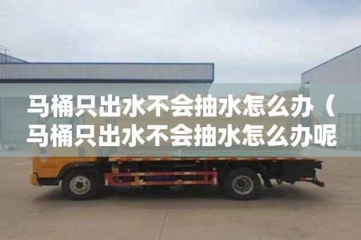 马桶只出水不会抽水怎么办（马桶只出水不会抽水怎么办呢）