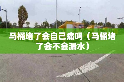 马桶堵了会自己痛吗（马桶堵了会不会漏水）