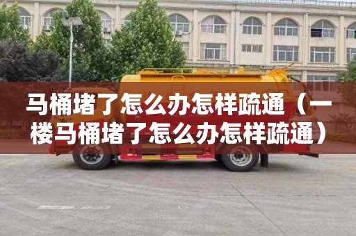 马桶堵了怎么办怎样疏通（一楼马桶堵了怎么办怎样疏通）