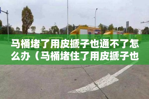 马桶堵了用皮搋子也通不了怎么办（马桶堵住了用皮搋子也通不开怎么办）