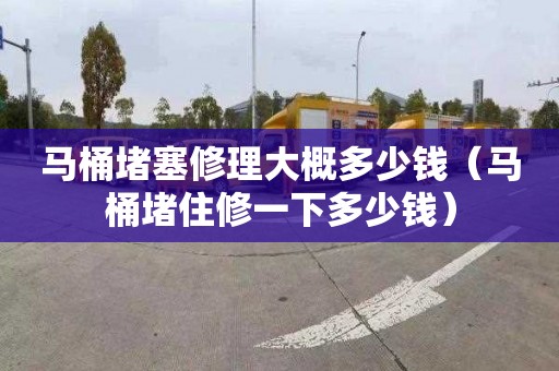 马桶堵塞修理大概多少钱（马桶堵住修一下多少钱）