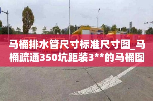 马桶排水管尺寸标准尺寸图_马桶疏通350坑距装3**的马桶图