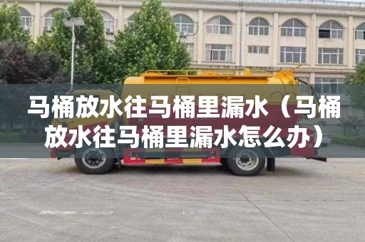 马桶放水往马桶里漏水（马桶放水往马桶里漏水怎么办）