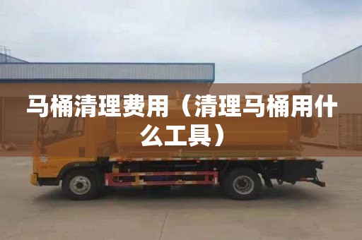 马桶清理费用（清理马桶用什么工具）