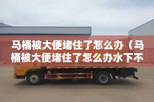 马桶被大便堵住了怎么办（马桶被大便堵住了怎么办水下不下去）