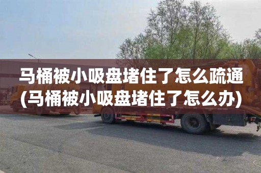 马桶被小吸盘堵住了怎么疏通(马桶被小吸盘堵住了怎么办)