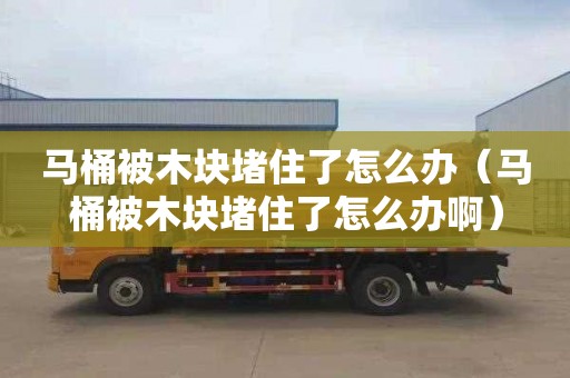 马桶被木块堵住了怎么办（马桶被木块堵住了怎么办啊）