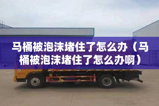 马桶被泡沫堵住了怎么办（马桶被泡沫堵住了怎么办啊）