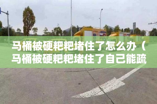 马桶被硬粑粑堵住了怎么办（马桶被硬粑粑堵住了自己能疏通吗）