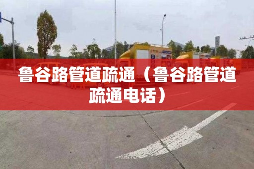 鲁谷路管道疏通（鲁谷路管道疏通电话）