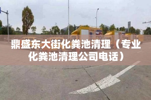 鼎盛东大街化粪池清理（专业化粪池清理公司电话）