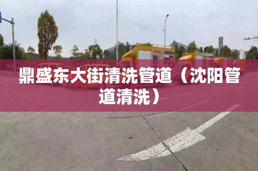 鼎盛东大街清洗管道（沈阳管道清洗）