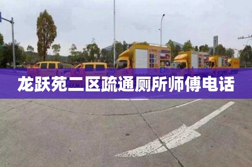 龙跃苑二区疏通厕所师傅电话