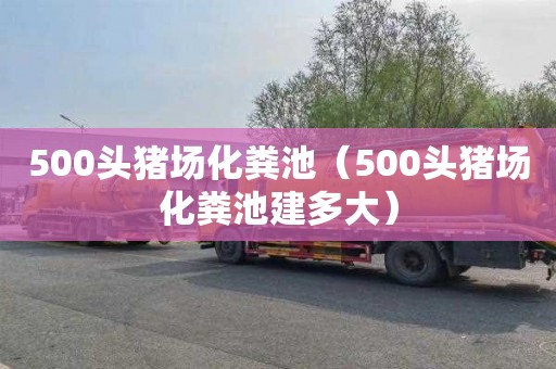 500头猪场化粪池（500头猪场化粪池建多大）