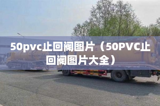 50pvc止回阀图片（50PVC止回阀图片大全）