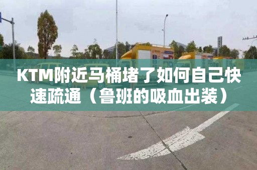 KTM附近马桶堵了如何自己快速疏通（鲁班的吸血出装）