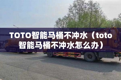 TOTO智能马桶不冲水（toto智能马桶不冲水怎么办）