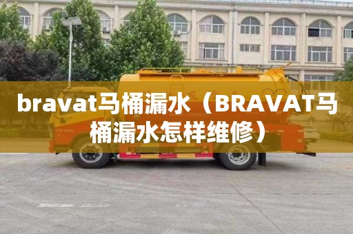 bravat马桶漏水（BRAVAT马桶漏水怎样维修）