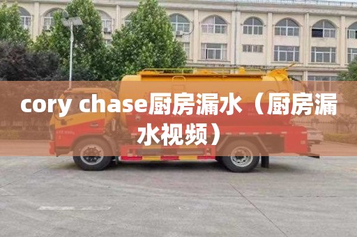 cory chase厨房漏水（厨房漏水视频）