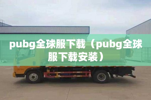 pubg全球服下载（pubg全球服下载安装）