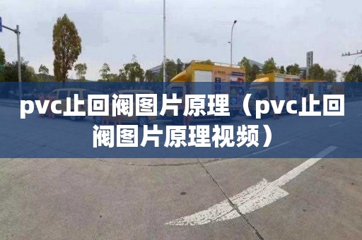 pvc止回阀图片原理（pvc止回阀图片原理视频）