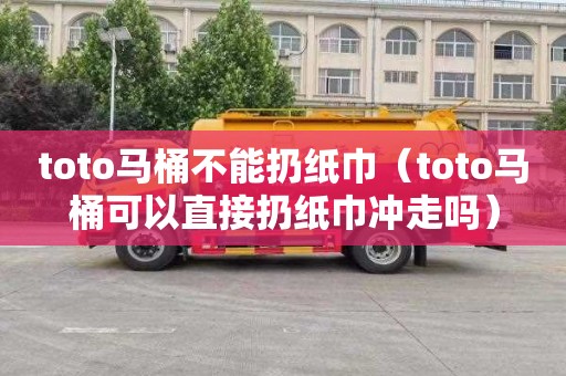 toto马桶不能扔纸巾（toto马桶可以直接扔纸巾冲走吗）