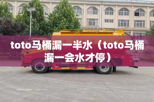 toto马桶漏一半水（toto马桶漏一会水才停）