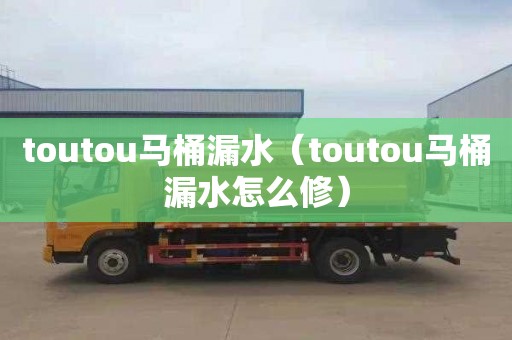 toutou马桶漏水（toutou马桶漏水怎么修）