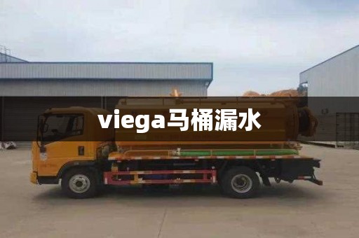 viega马桶漏水