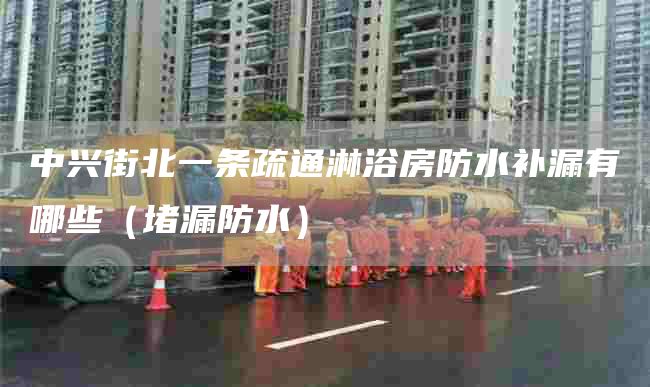 中兴街北一条疏通淋浴房防水补漏有哪些（堵漏防水）