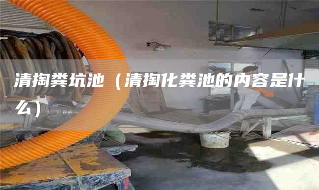 清掏粪坑池（清掏化粪池的内容是什么）