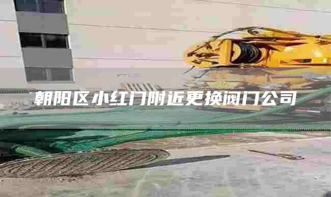 朝阳区小红门附近更换阀门公司