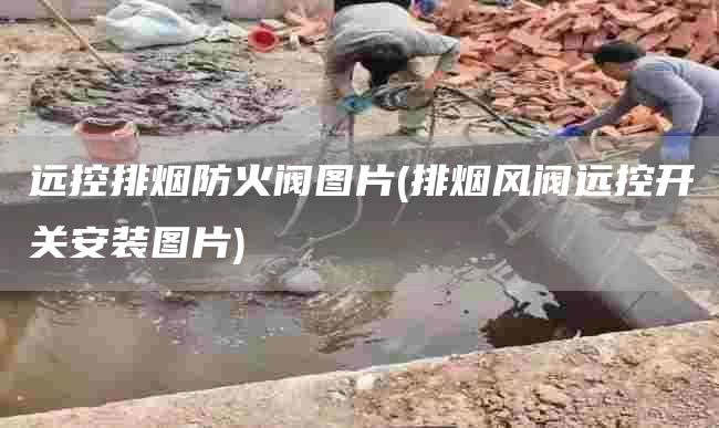 远控排烟防火阀图片(排烟风阀远控开关安装图片)