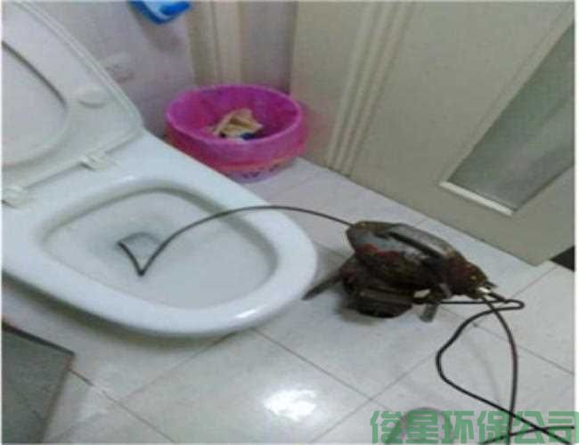 丰台区蒲黄榆管道疏通卫生间疏通下水道多少钱