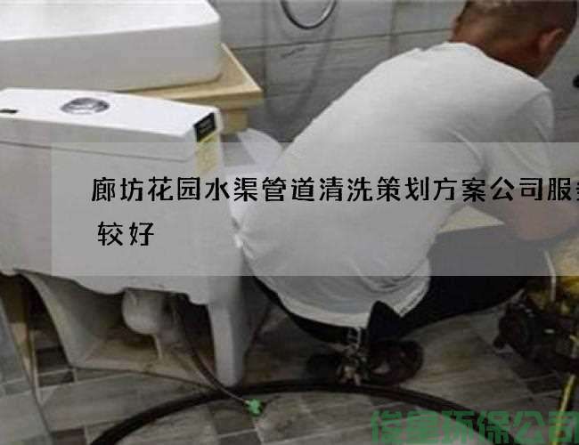 廊坊花园水渠管道清洗策划方案公司服务比较好