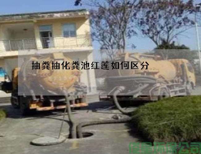 抽粪抽化粪池红莲如何区分