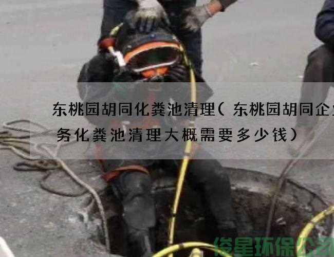 东桃园胡同化粪池清理(东桃园胡同企业服务化粪池清理大概需要多少钱)