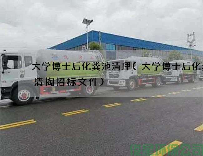 大学博士后化粪池清理(大学博士后化粪池清掏招标文件)