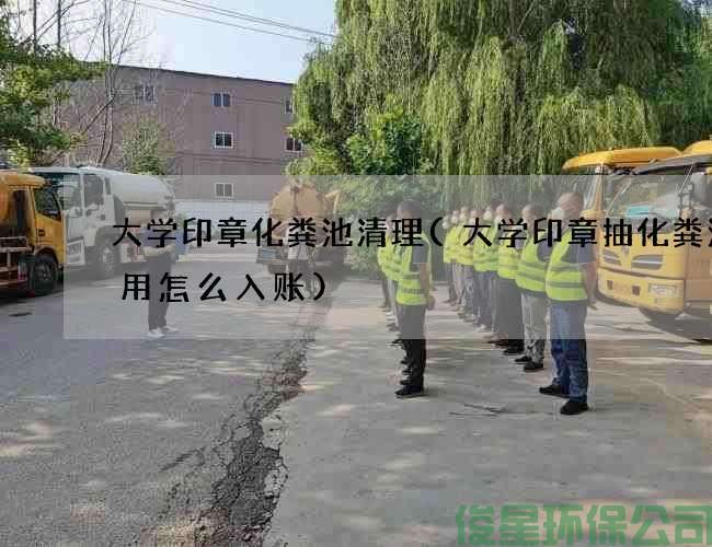 大学印章化粪池清理(大学印章抽化粪池费用怎么入账)