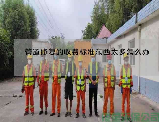 管道修复的收费标准东西太多怎么办