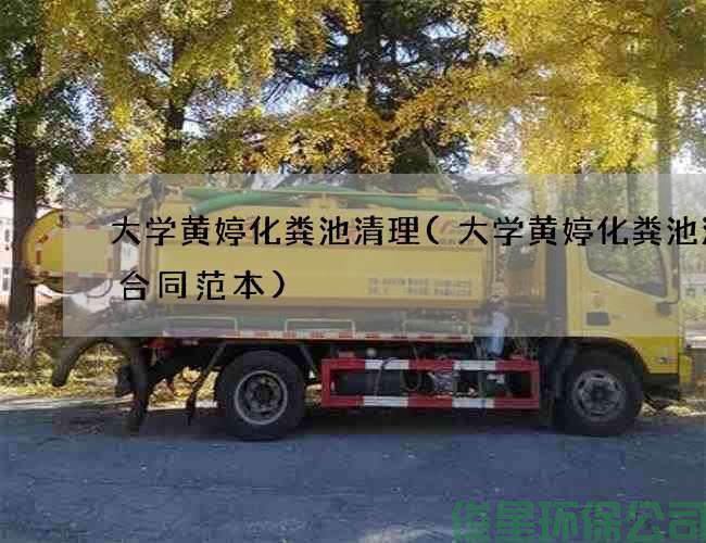 大学黄婷化粪池清理(大学黄婷化粪池清理合同范本)
