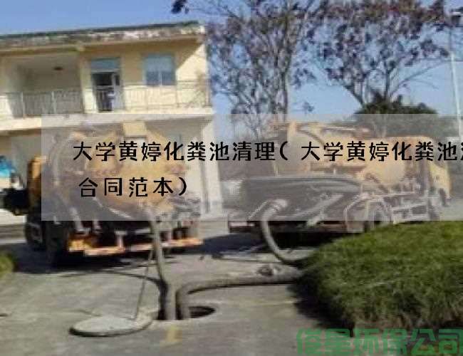 大学黄婷化粪池清理(大学黄婷化粪池清理合同范本)