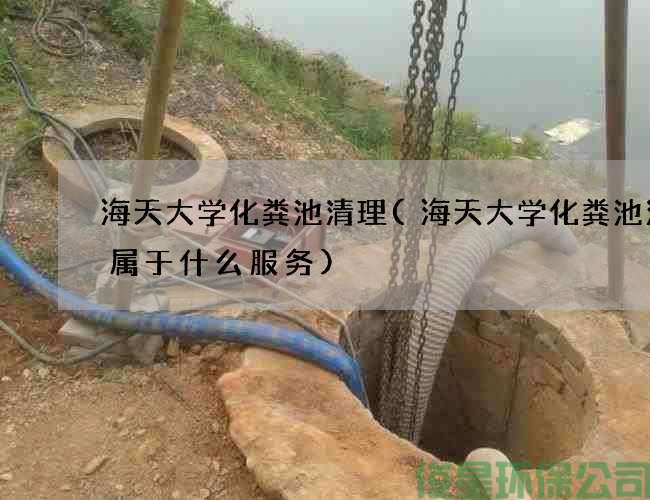 海天大学化粪池清理(海天大学化粪池清掏属于什么服务)