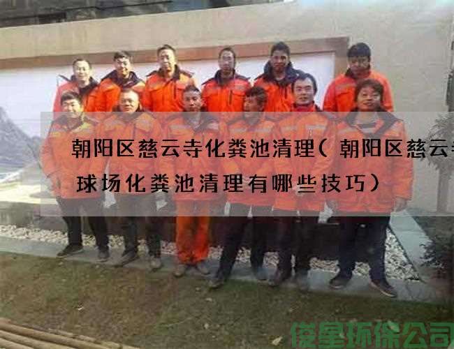 朝阳区慈云寺化粪池清理(朝阳区慈云寺篮球场化粪池清理有哪些技巧)