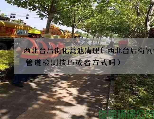 西北台后街化粪池清理(西北台后街氧化池管道检测技巧或者方式吗)