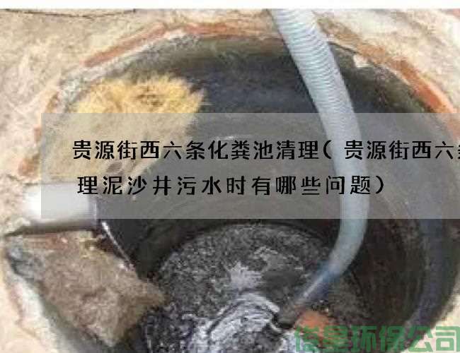 贵源街西六条化粪池清理(贵源街西六条清理泥沙井污水时有哪些问题)
