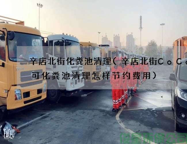 辛店北街化粪池清理(辛店北街CoCo都可化粪池清理怎样节约费用)