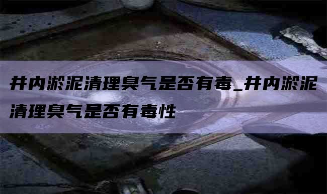 井内淤泥清理臭气是否有毒_井内淤泥清理臭气是否有毒性