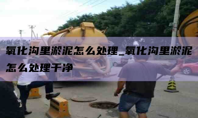氧化沟里淤泥怎么处理_氧化沟里淤泥怎么处理干净